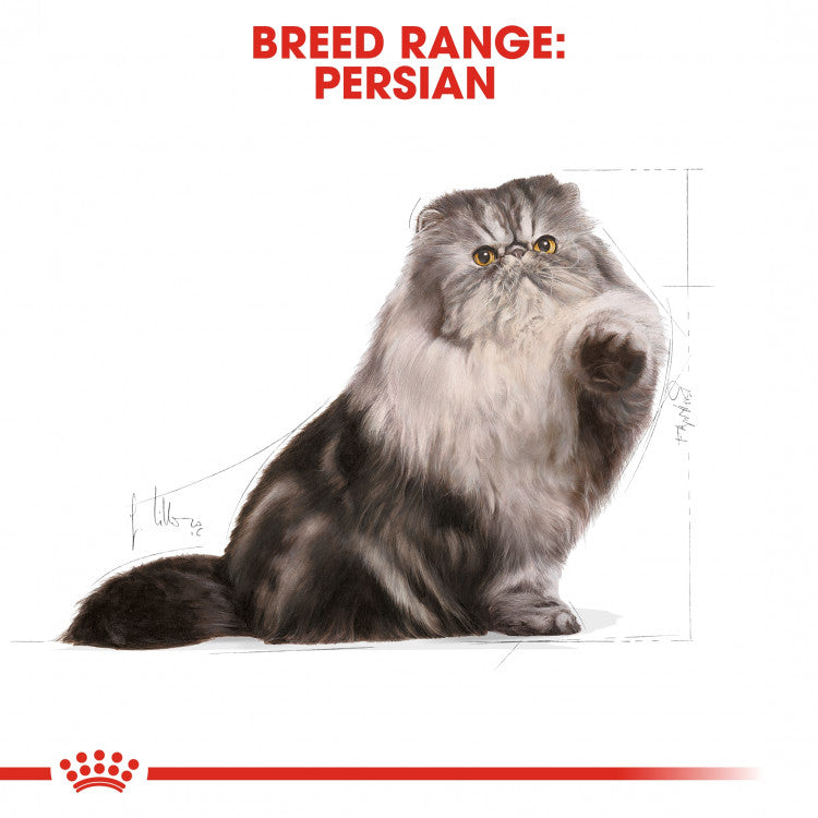 Royal Canin Feline Breed Nutrition (Persian Adult)