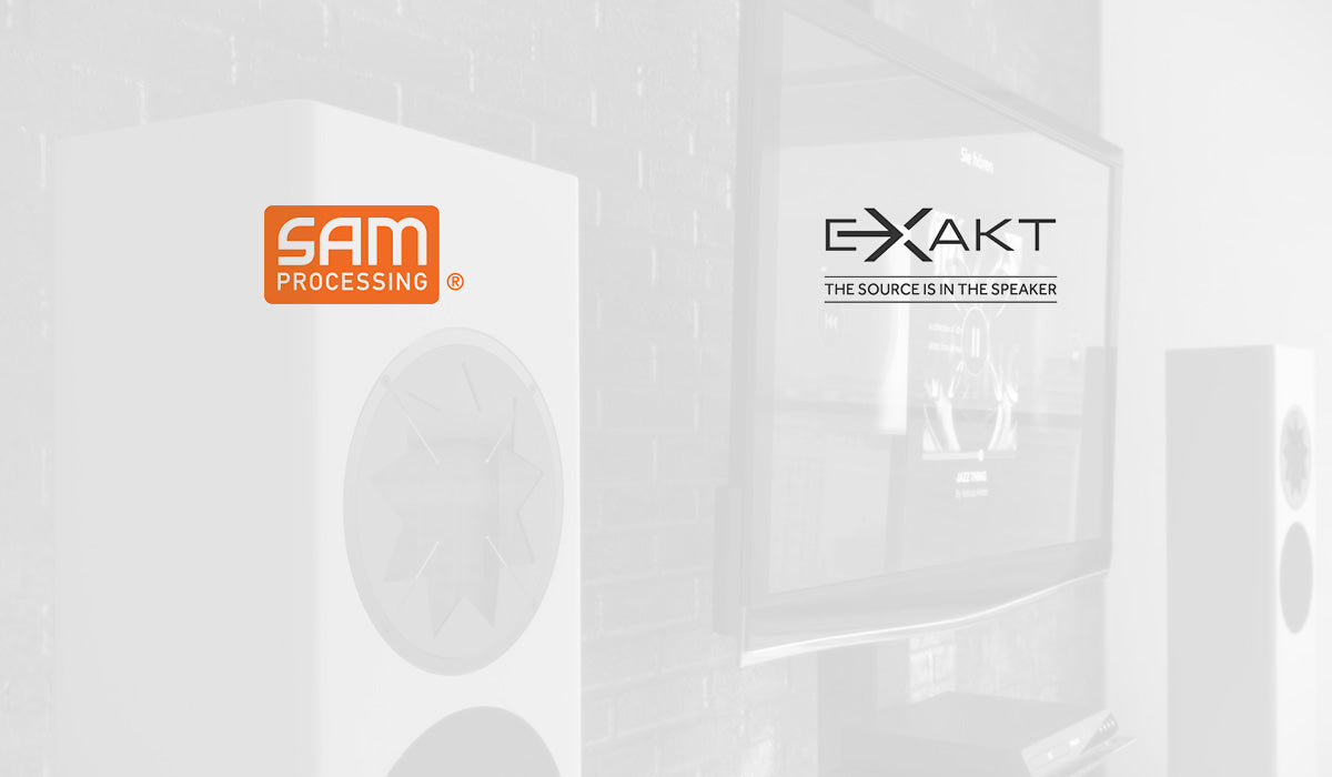 MANGER P1 PASSIVE 2 WAY Floor Standing Speaker RAL or NCS colors (satin finish)