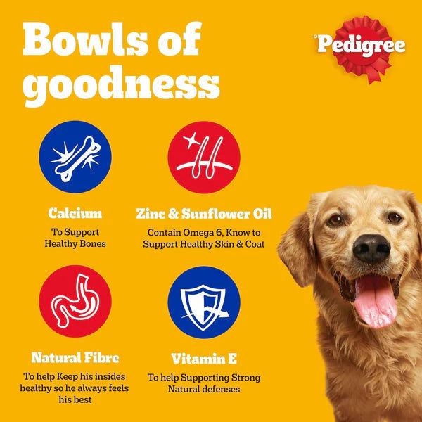 Pedigree Chicken Chunks in Gravy Wet Dog Food - 400G (Sale)