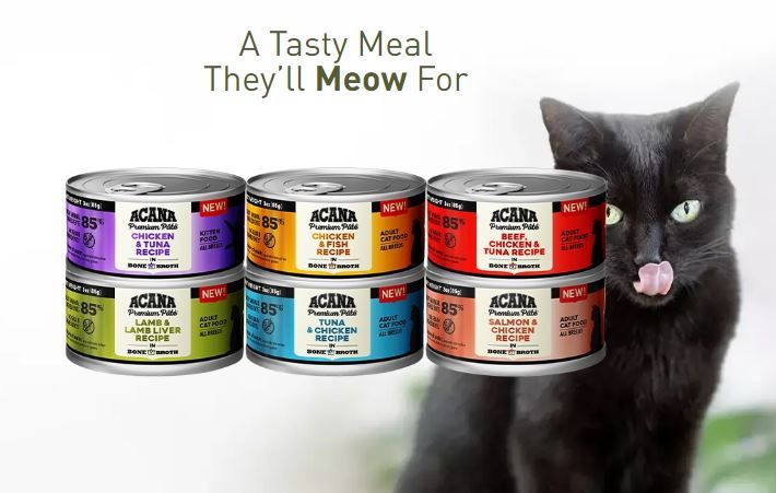 Acana Premium Salmon & Chicken Pate Cat Wet Food 85G