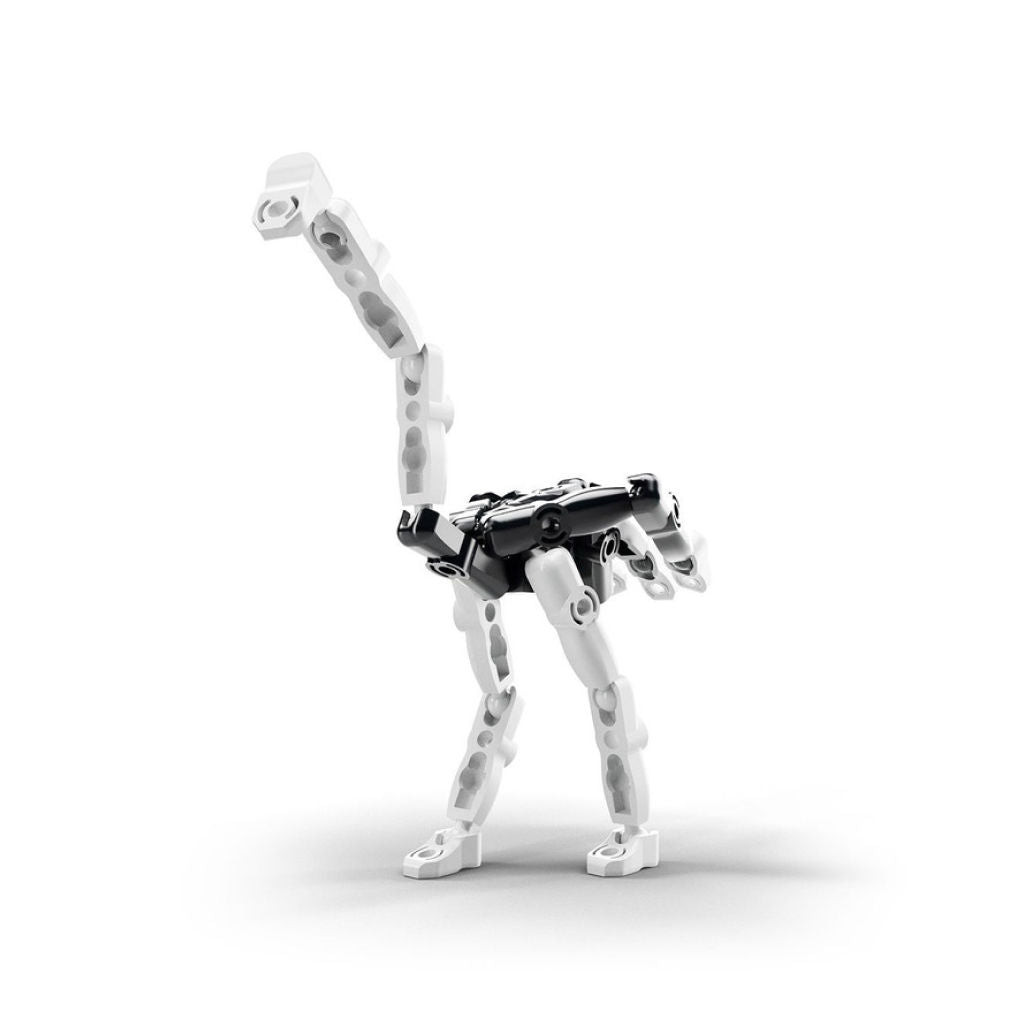 ZooZ - The Ostrich