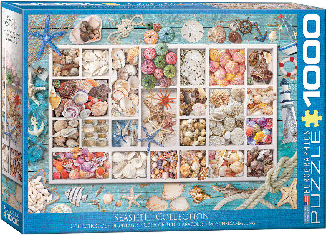 Seashell Collection 1000 Piece Puzzle
