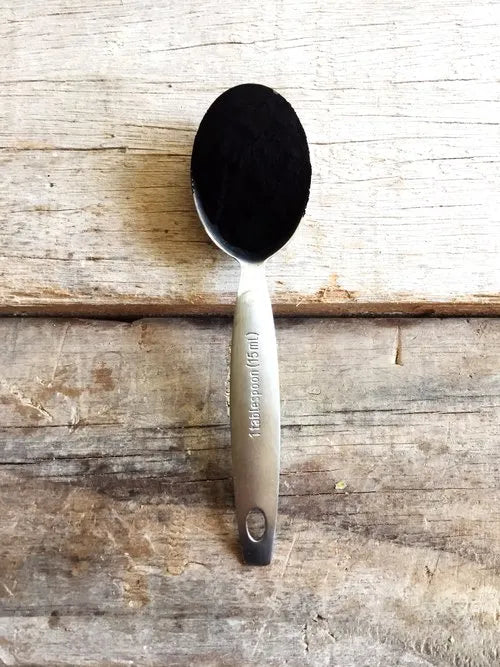 Charcoal + Tea Tree Camel Milk Soap
