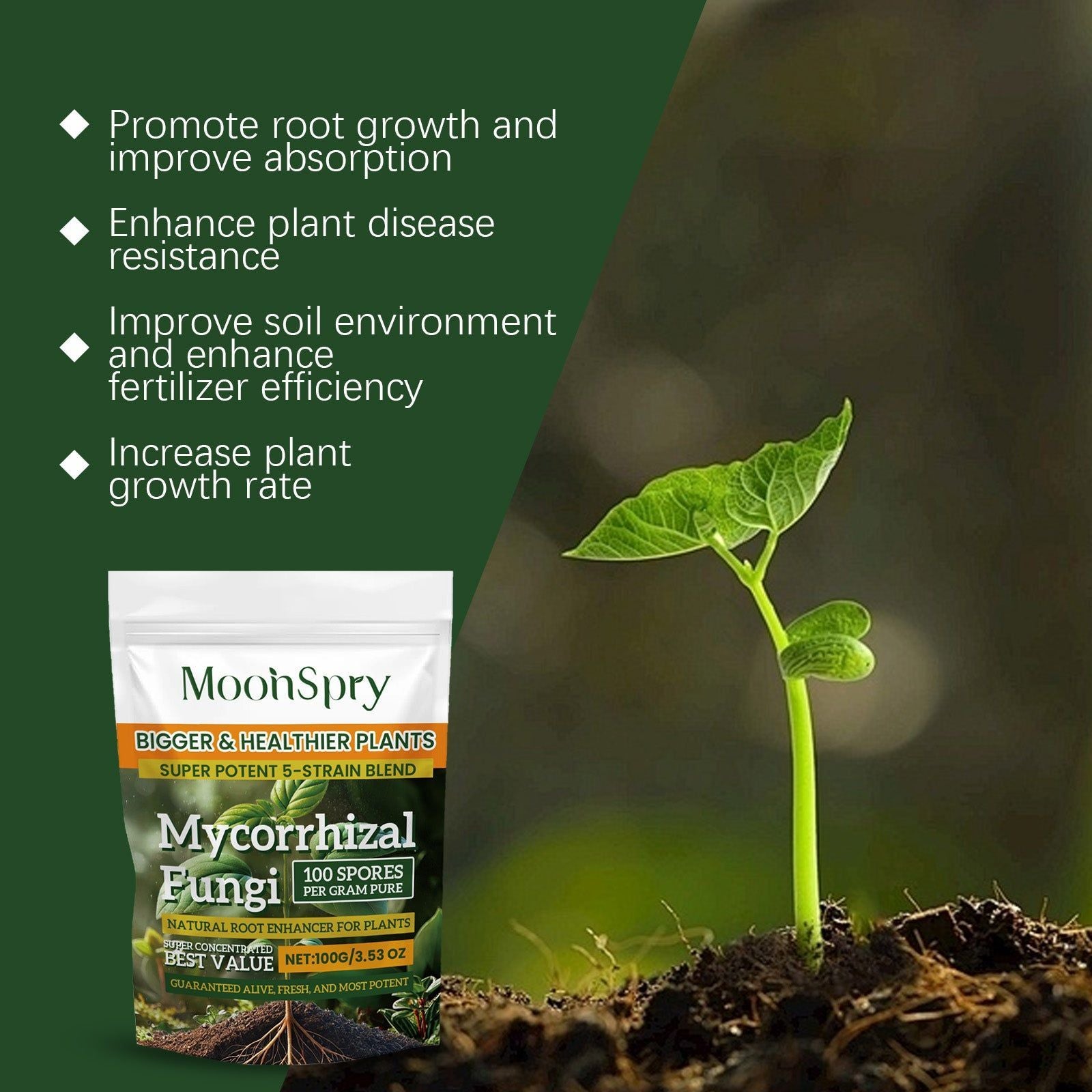 Boost Plant Growth Organic Root Enhancer Powder, Fertilizer for Healthy Roots ,100g