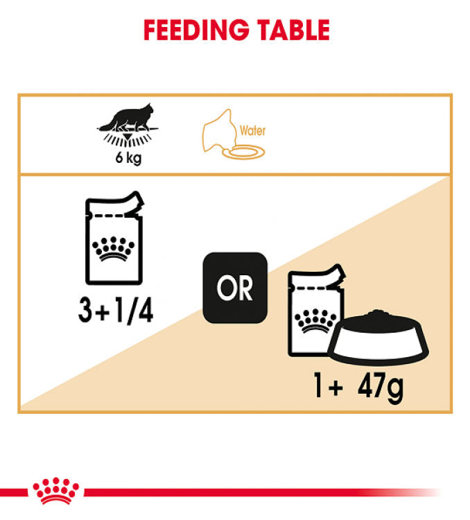 Royal Canin Feline Breed Nutrition Maine Coon - 12 Wet Food Pouches