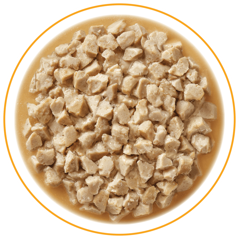 Stella & Chewy’s Carnivore Cravings Morsels’N’Gravy- Chicken & Beef Recipe – 2.8 oz
