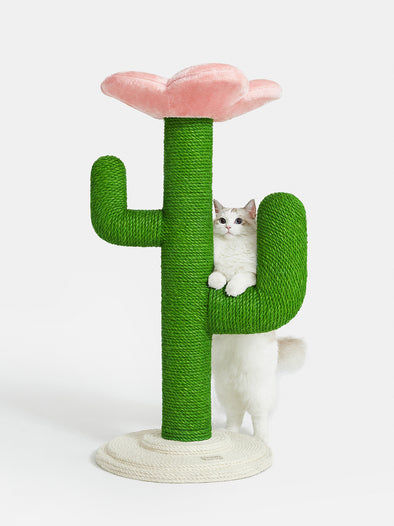 Blooming Cactus Cat Tree