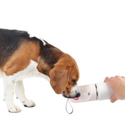 All For Paws Lifestyle 4 Pets - 2-in-1 Stainless Drinking bottle - 400ml / 14oz