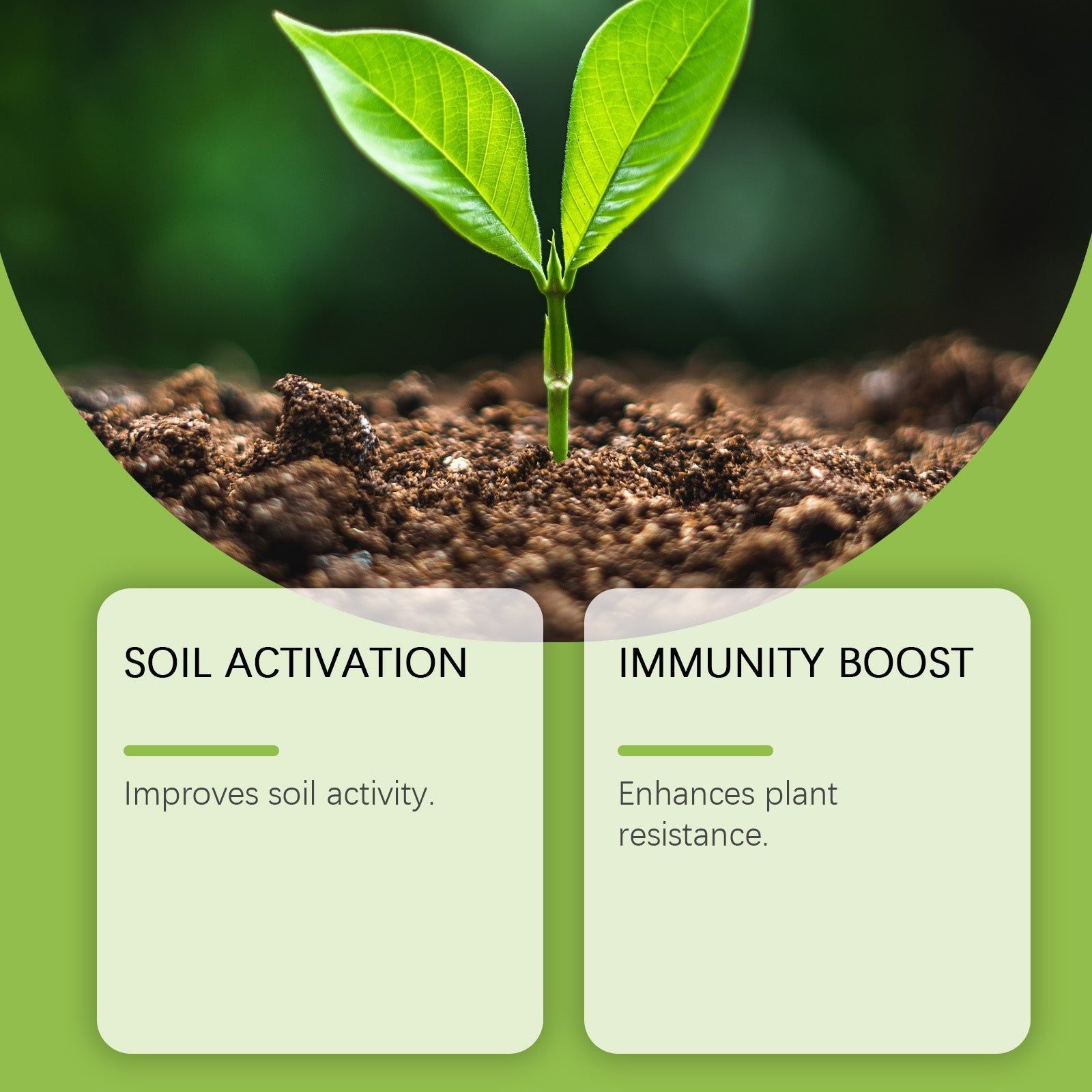 Boost Flower Growth Fertilizer, Indoor Outdoor Plant Booster, Easy Hydration Solution ,100g