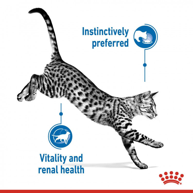 Royal Canin Feline Health Nutrition Indoor 7+ - 12 Wet Food Pouches