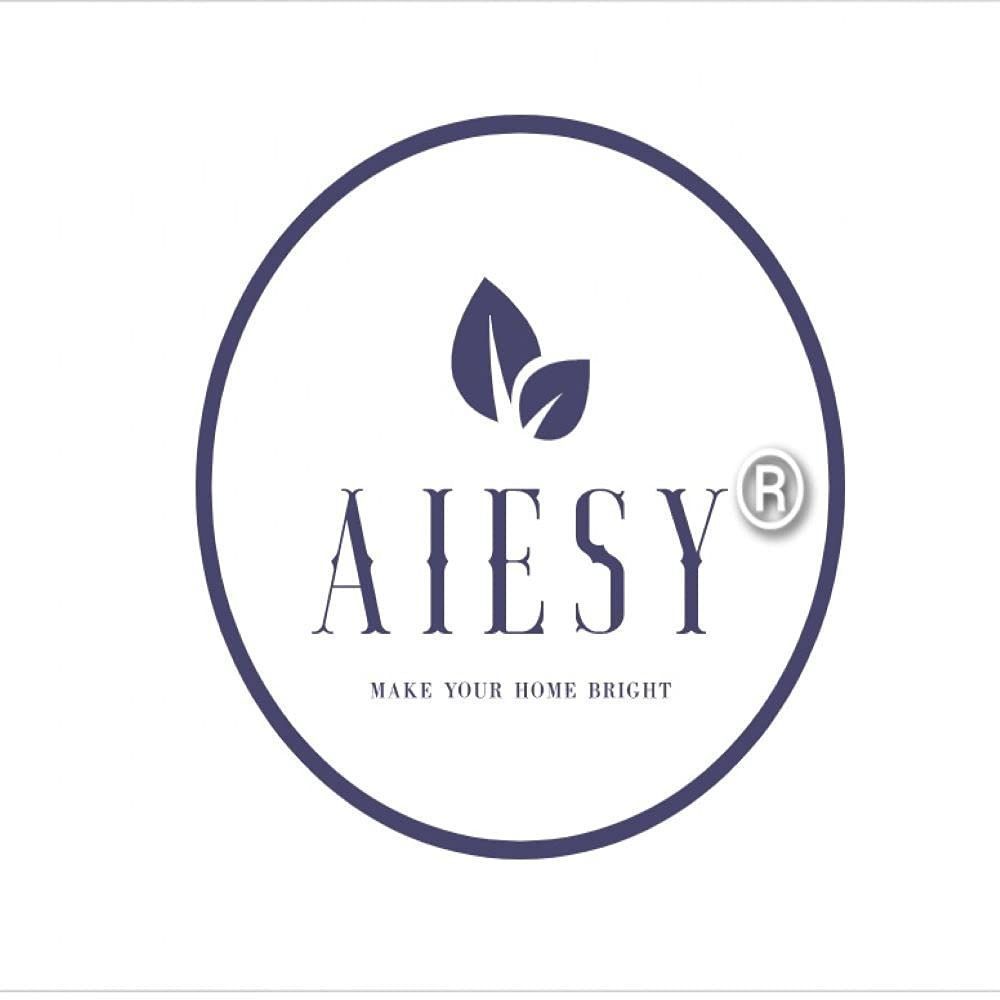 AIESY® Premium Fan-Shaped Microfiber Door Mat | Ultra-Absorbent Luxury Bath Mat with Non-Slip TPR Backing for Home Entrance, Bathroom & Bedroom