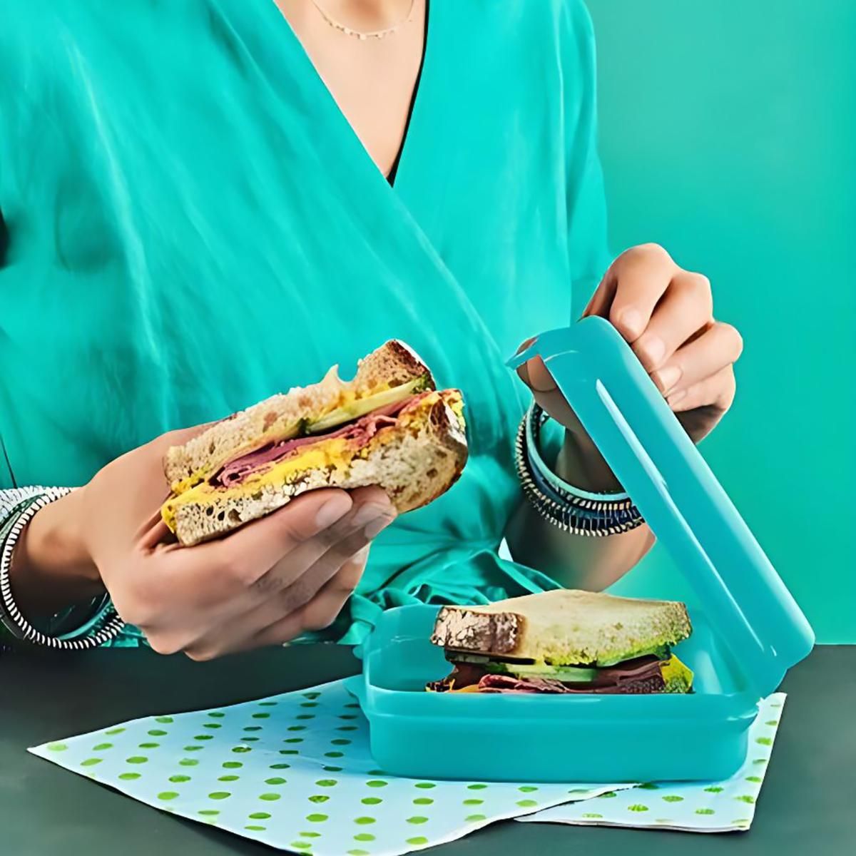 Tupperware Eco Sandwich Keeper Square, Reusable Lunch Box With Snap Closure