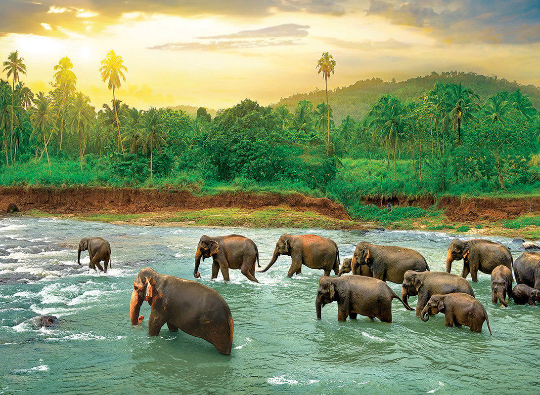 Save The Planet!Animal King - 1000 Pcs Puzzle