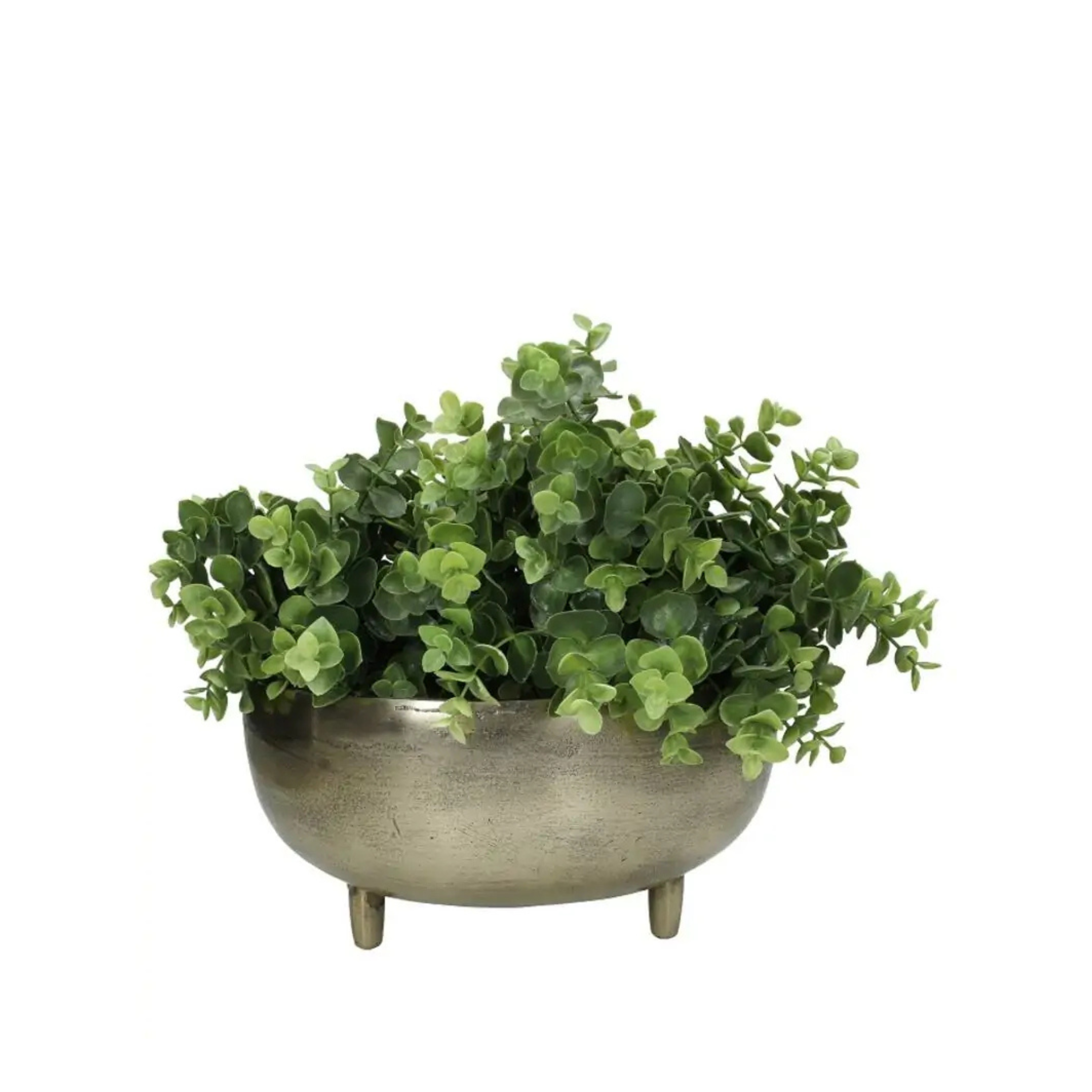 Planter Gold