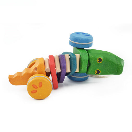 Alligator