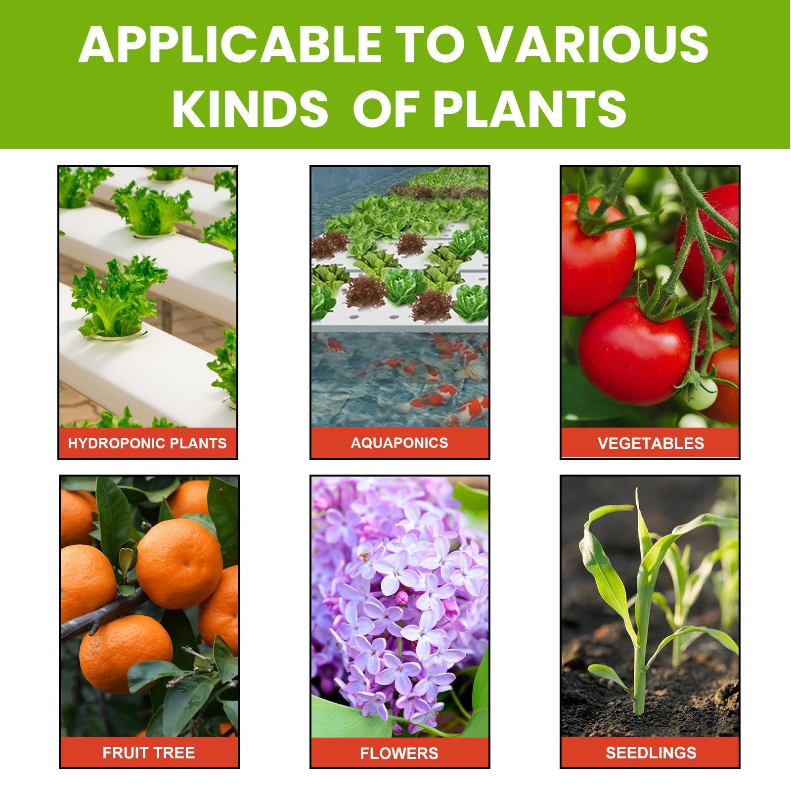 Boost Plant Growth Fast, Organic Plant Nutrient Solution for Healthy Roots and Vibrant Flowers ,50ml