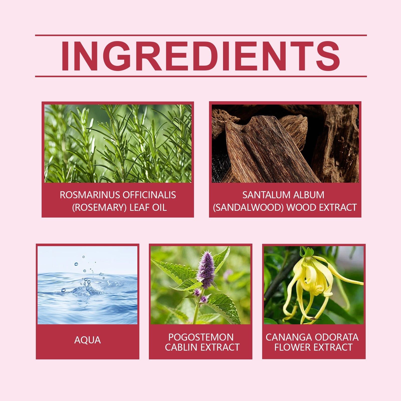 Charm Light Floral Perfume, Long-lasting Fresh Scent, Elegant Fragrance for Confidence ,7ml