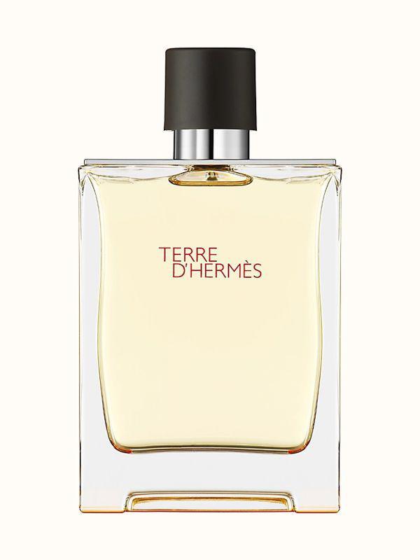 Hermes Terre D Hermes EDT  100Ml