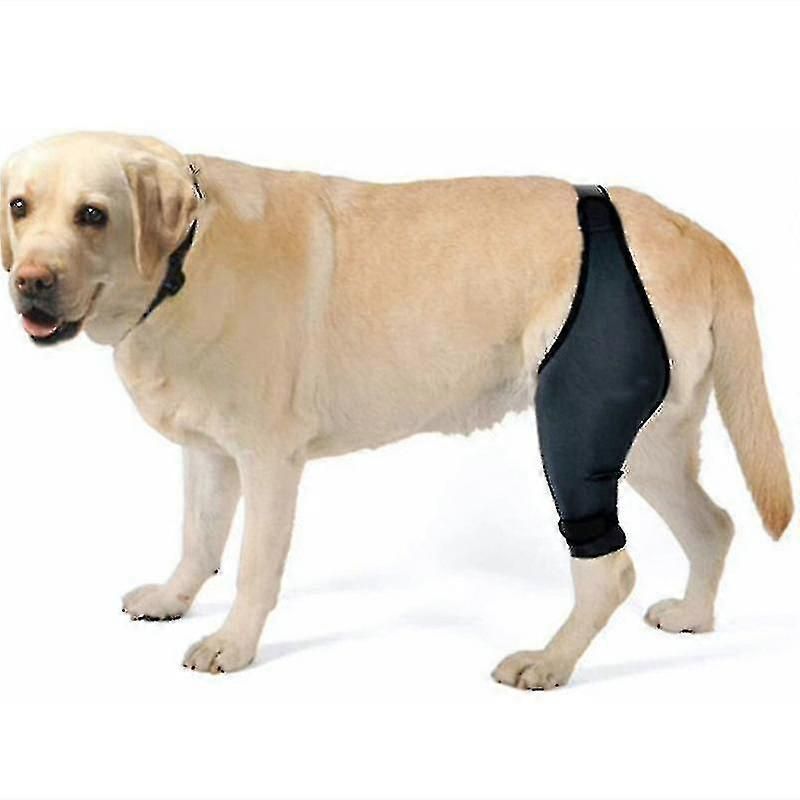 Breathable Dog Elbow Brace Protector Pads For Canine Elbow And Shoulder Support Elbow Hygroma, Dysplasia, Osteoarthritis, Elbow Calluses, Press B zxin