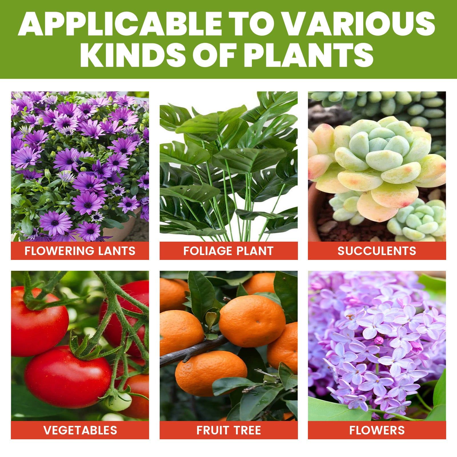 Boost Plant Growth with Top-Rated Plant Nutrition Supplement, Strong Roots, Vibrant Flowers ,30ml