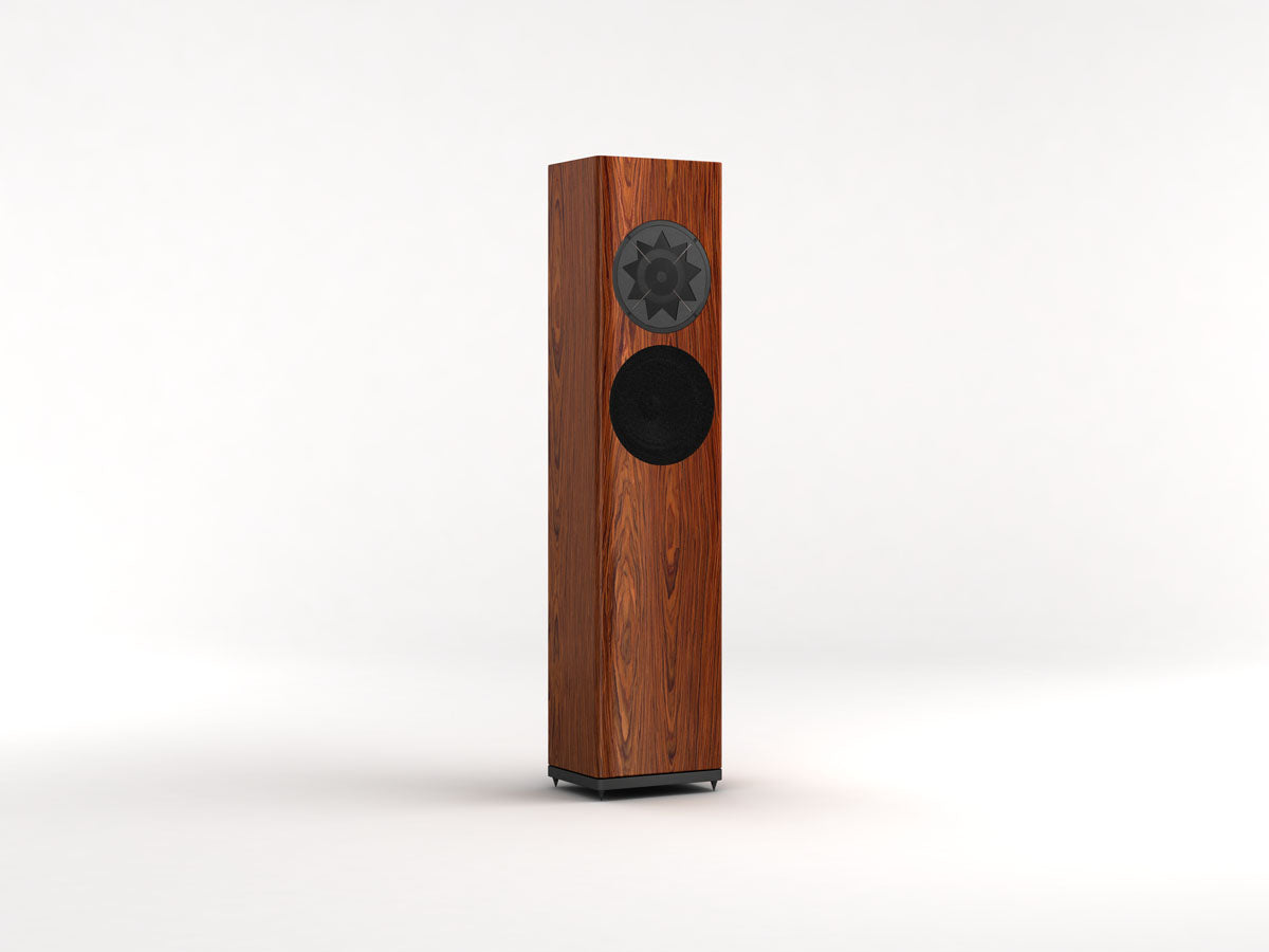 MANGER P1 PASSIVE 2 WAY Floor Standing Speaker RAL or NCS colors (satin finish)