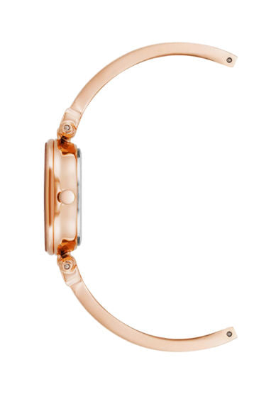 Anne Klein Ladies Watch AK1980WTRG