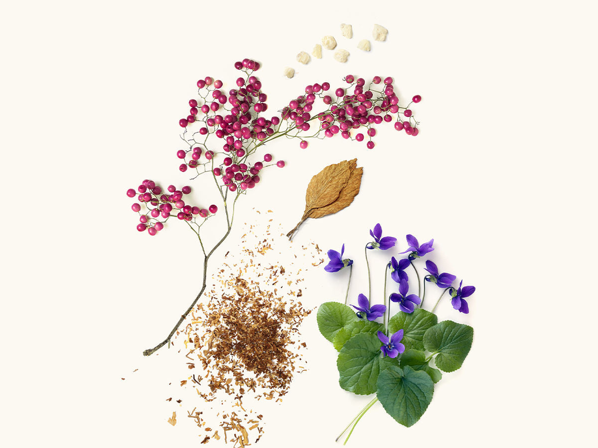 Aswan Extrait de Parfum 50ml