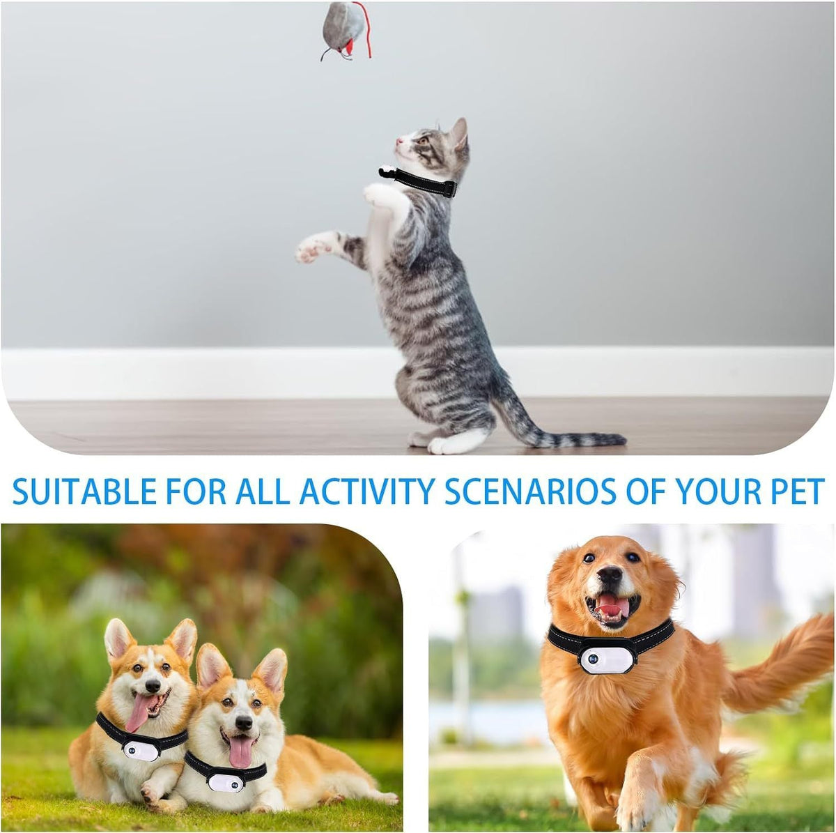 Pet Baby 1080P Cat Camera Collar Mini Body Camera No WiFi Action Camera for Cats Dogs with 32GB SD Card