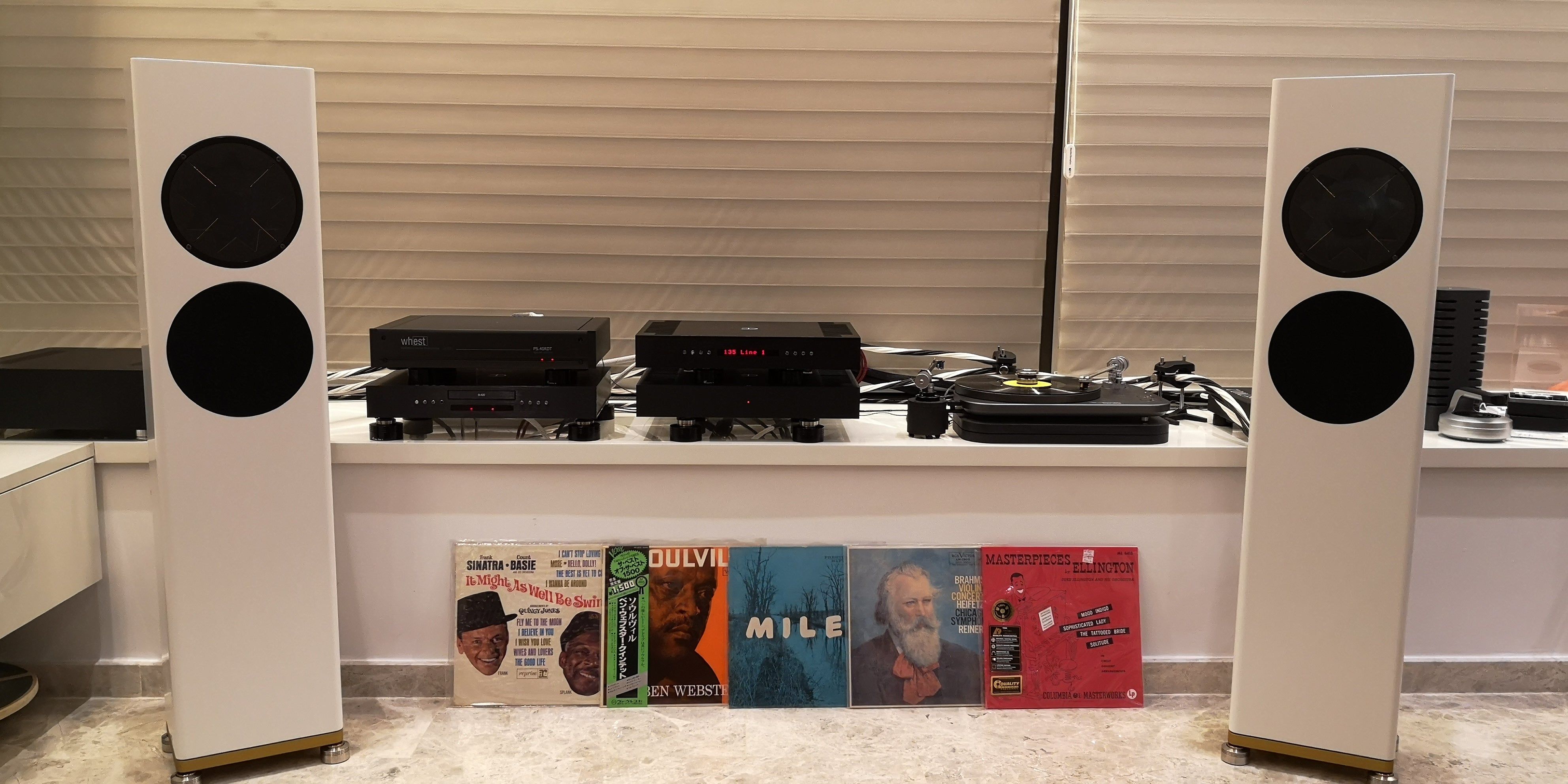 MANGER P1 PASSIVE 2 WAY Floor Standing Speaker RAL or NCS colors (satin finish)