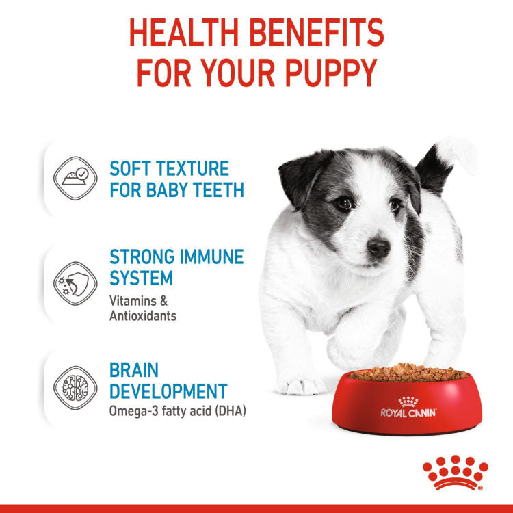 Royal Canin Size Health Nutrition Mini Puppy - 12 Wet Food Pouches