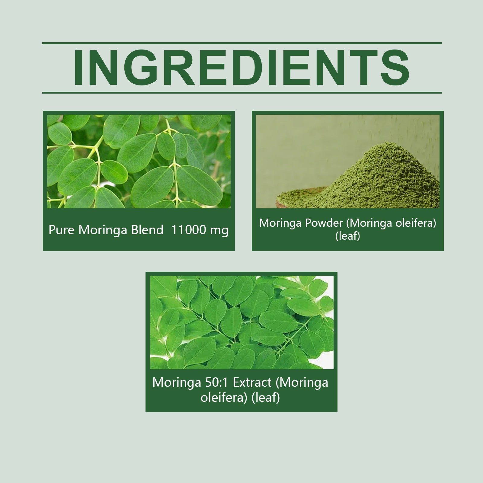 Boost Energy Naturally with Moringa Capsules, Body Care, Daily Vitality Support ,60pcs
