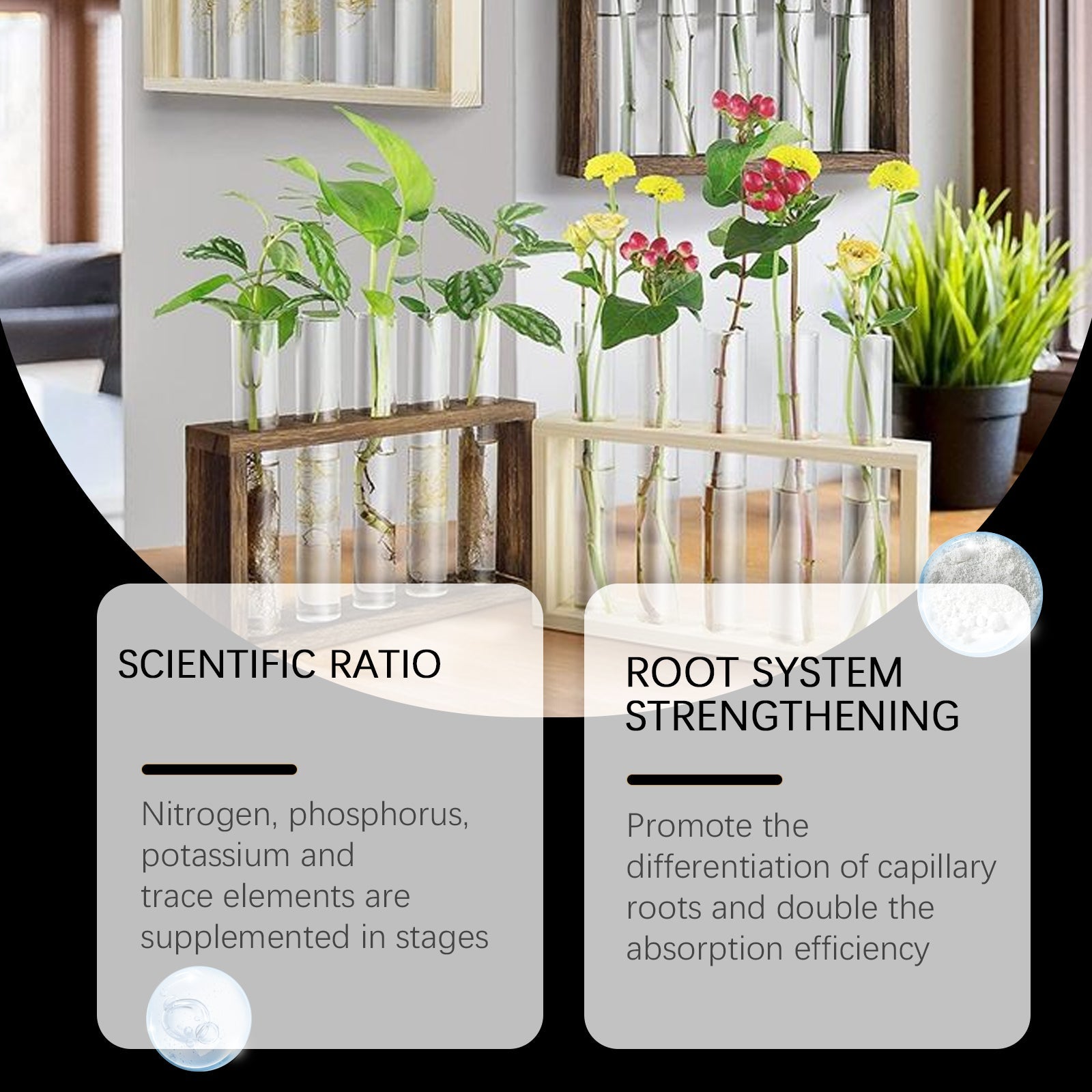 Boost Plant Growth with Soilless Culture AB Fertilizer, Universal Plant Food for Hydroponics and Soil ,1 set