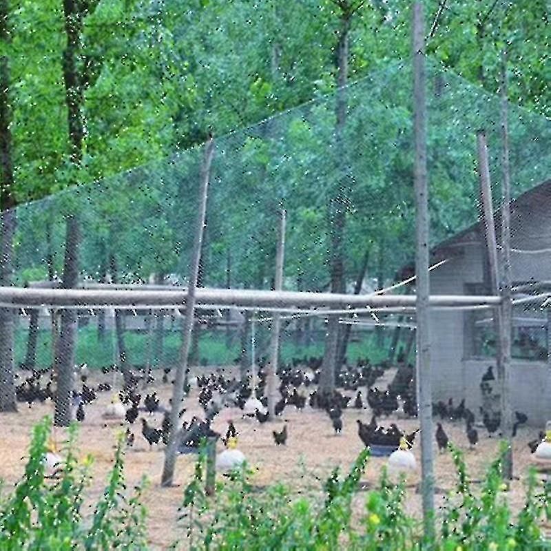 Bird Proof Net, Garden Fence And Crop Protection Fence Net, Bird Proof Deer Cat Dog Chicken