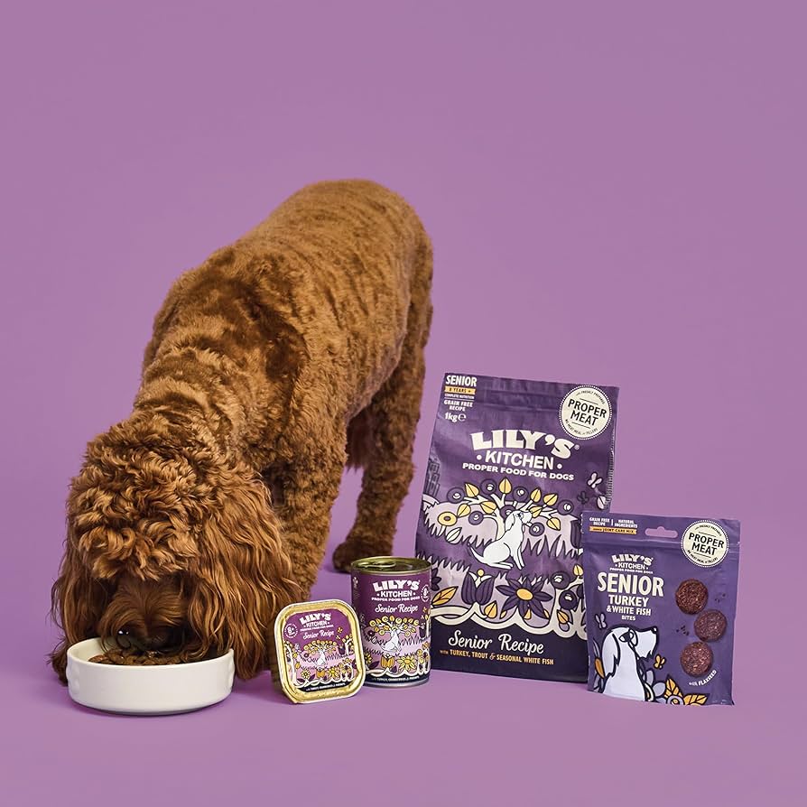 Lily's Kitchen Adult 8+ Senior Recipe Turkey, Trout and Seasonal White Fish Dry Dog Food 7kg