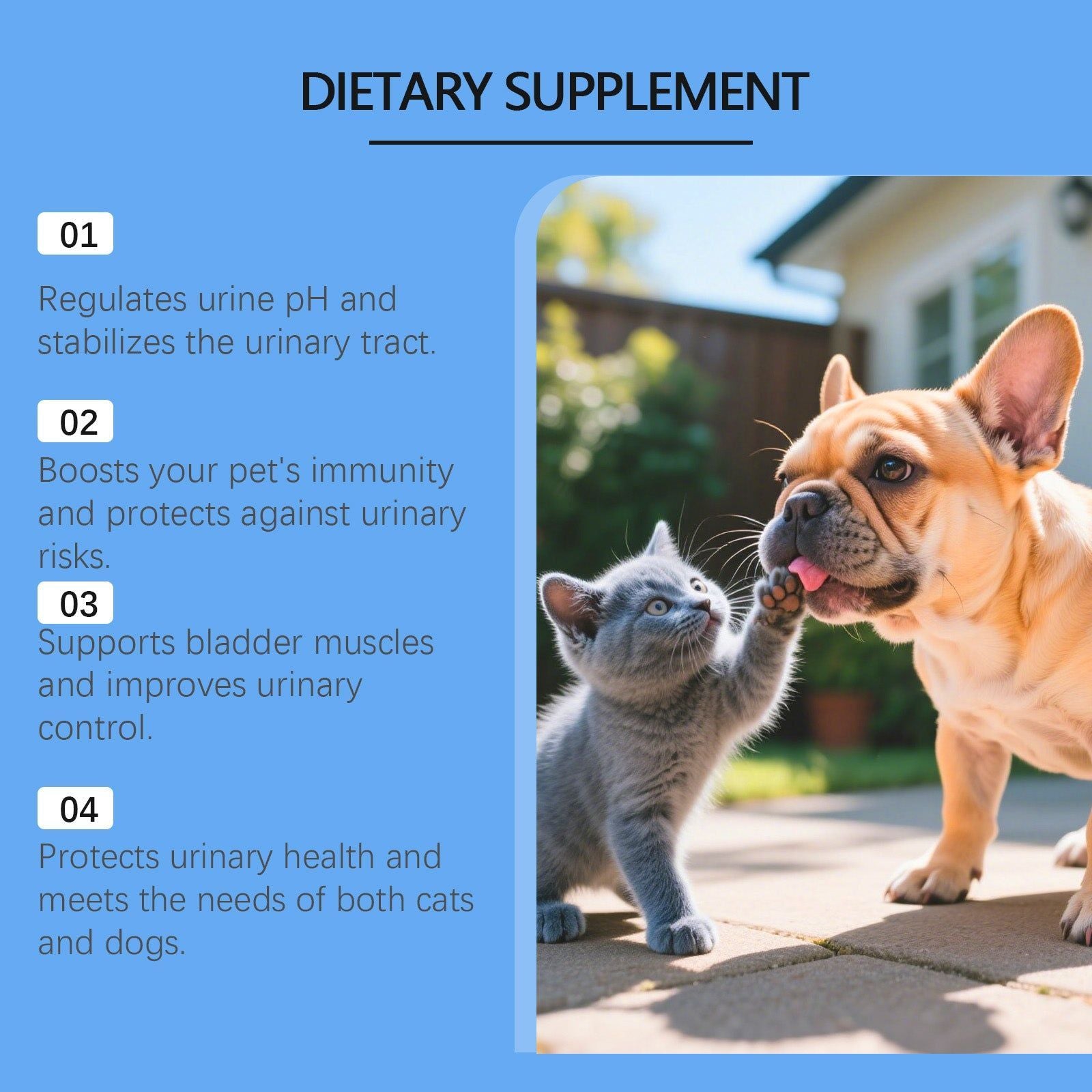 Pet Care Urinary Support Drops for Cats Dogs, Gentle, Nourishing, Easy to Use ,60ml