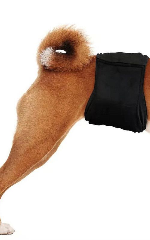 Washable Male Dog Diapers Durable Doggie Diaper