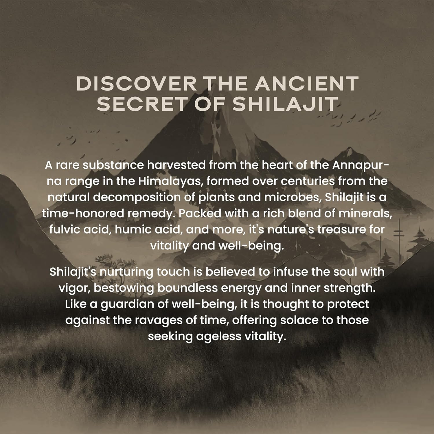 Wellbeing Nutrition Pure & Natural Himalayan Shilajit Original Resin 20g Pack of 2