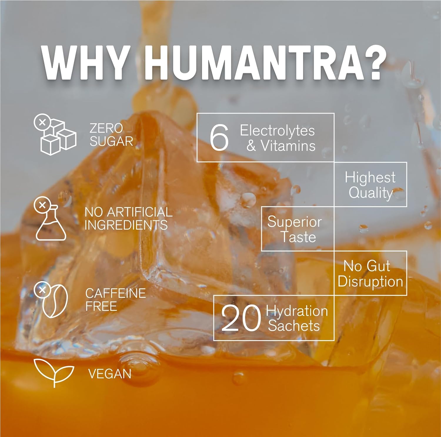 Humantra Electrolyte Apricot 70g