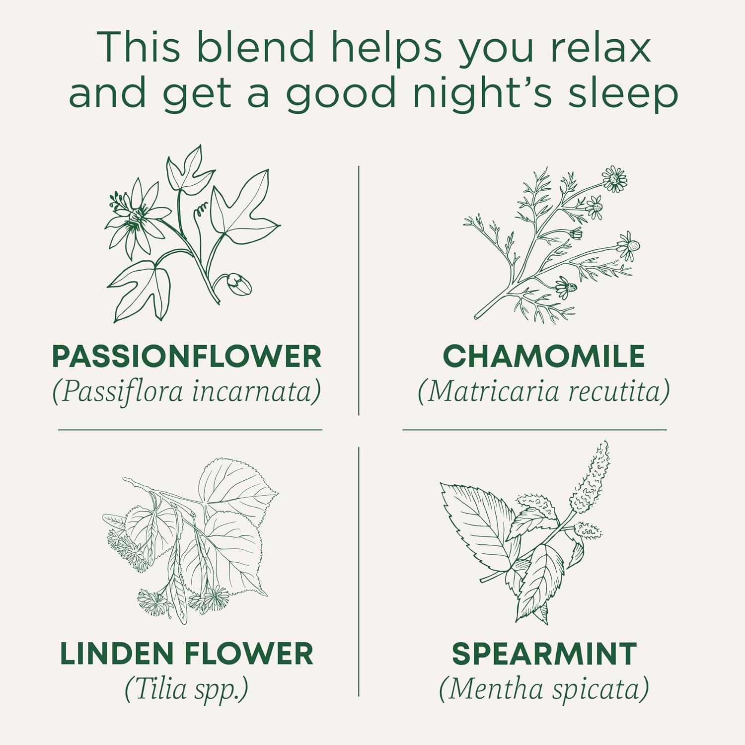 Traditional Medicinals, Organic Nighty Night Tea, 16 Ct