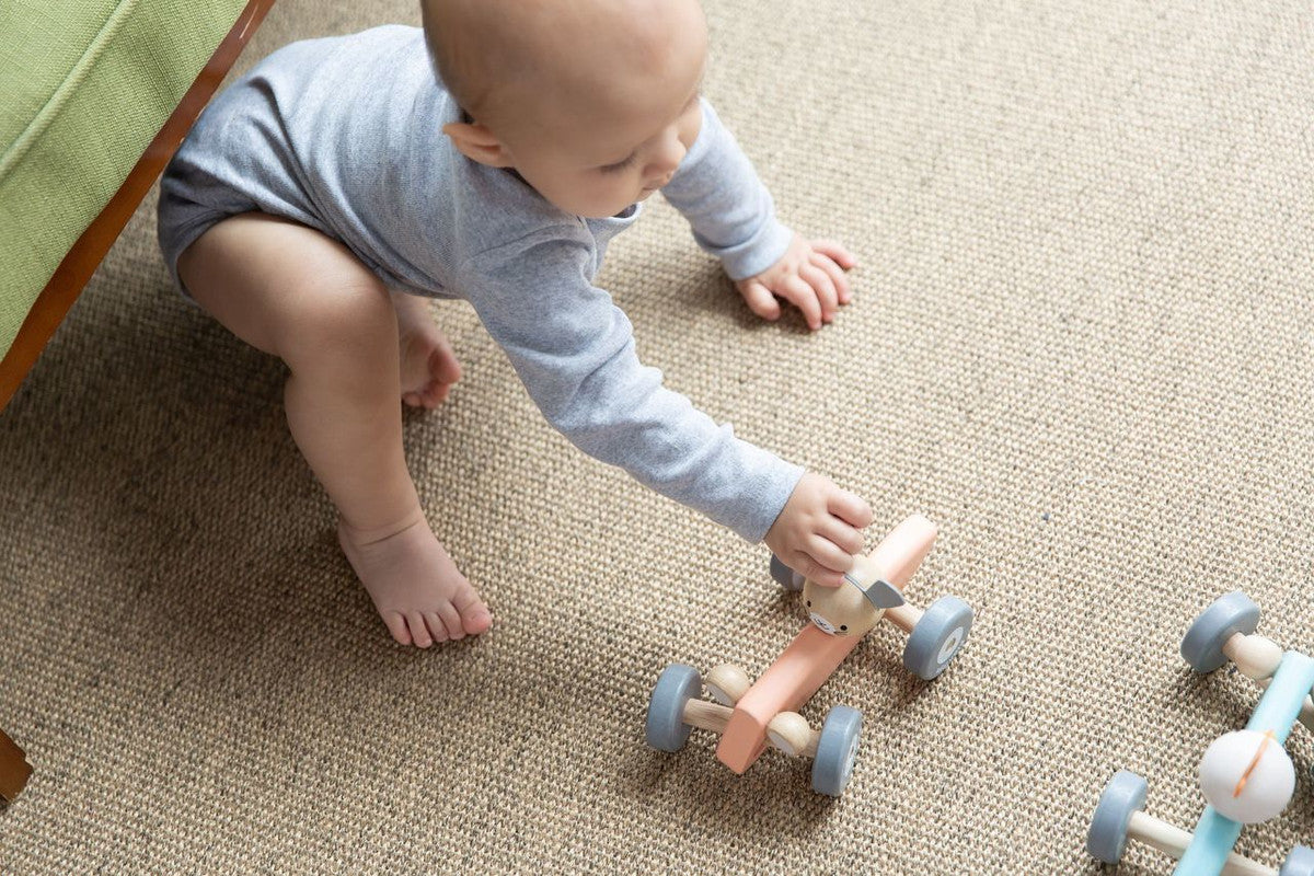 Bunny Racing Car