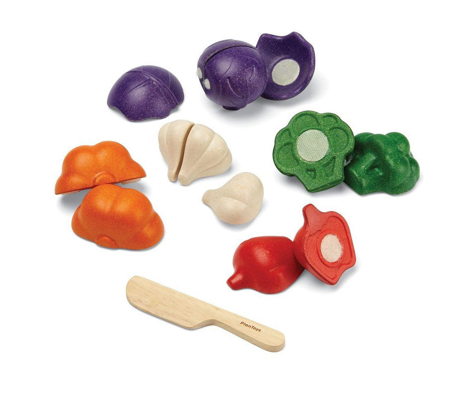 5 Colors Veggie Set