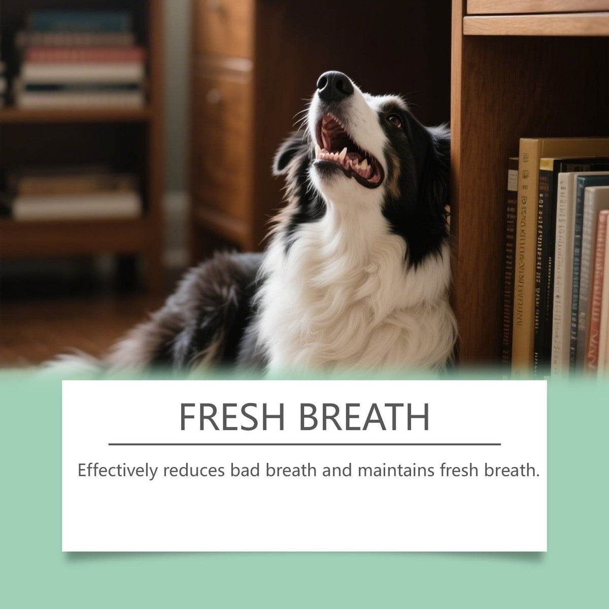 Pet Oral Spray, Take Care of Your Pet's Teeth, Fresh Breath, Tartar & Plaque Control ,120ml
