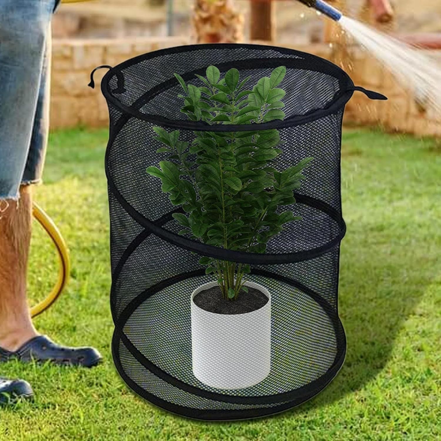 Pop Up Tomato Accelerator Plant Protector Cage Mesh Plant Guard Cover Net Greenhouse