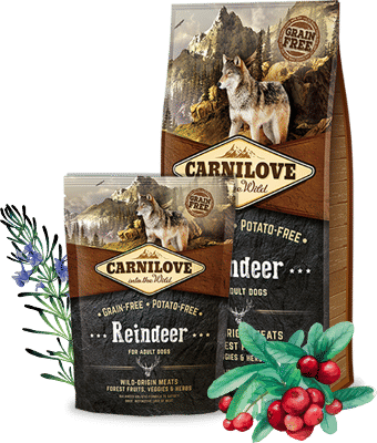 Carnilove Reindeer for Adult 12 kg