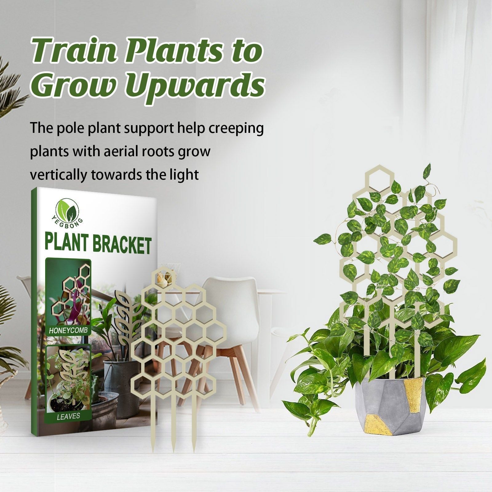 Decorative Support for Climbing Plants, Garden Trellis, Wooden Geometric Plant Holder ,3pcs