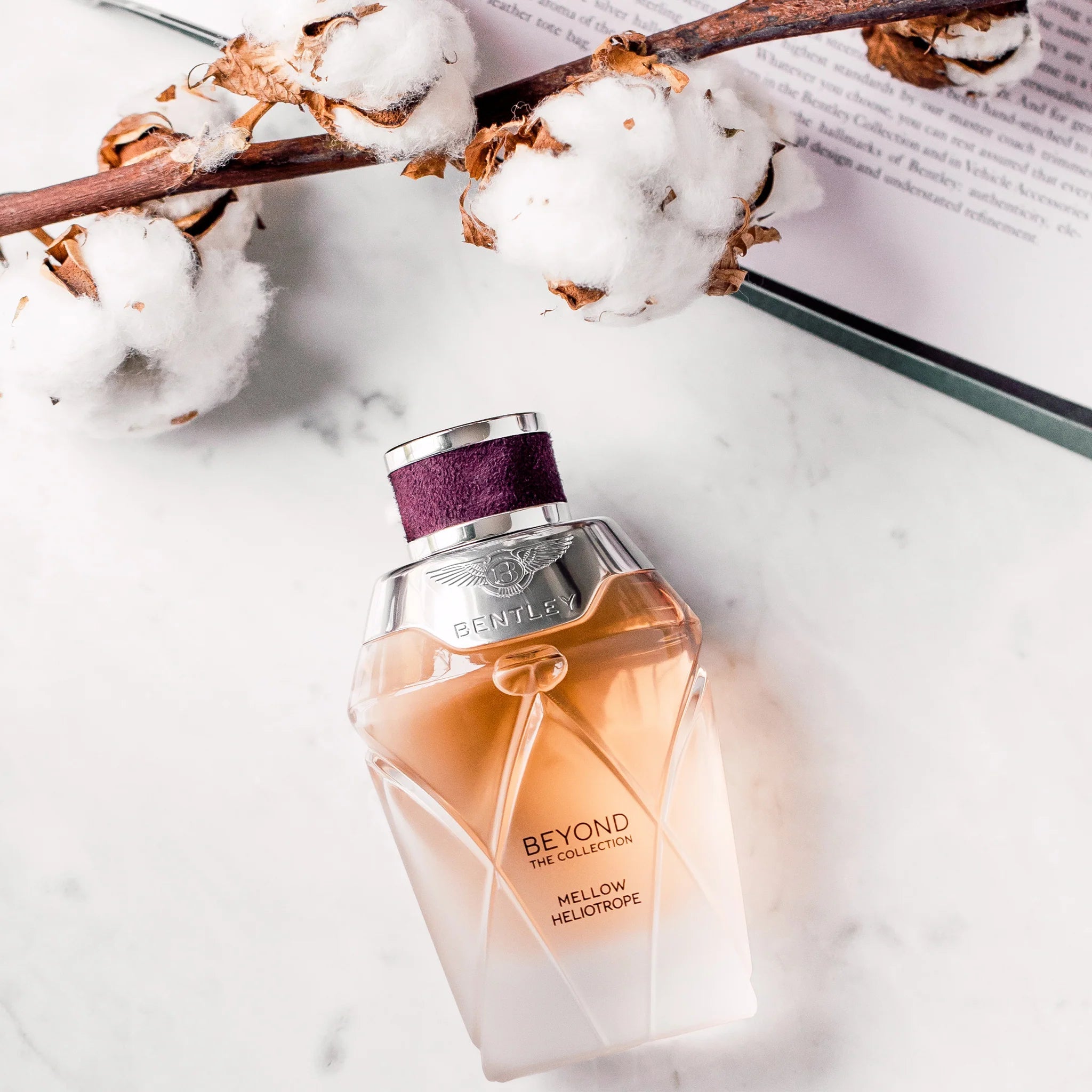 Mellow Heliotrope Eau de Parfum 100ml