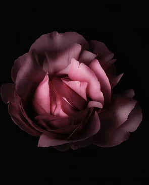 Lovers Parfum