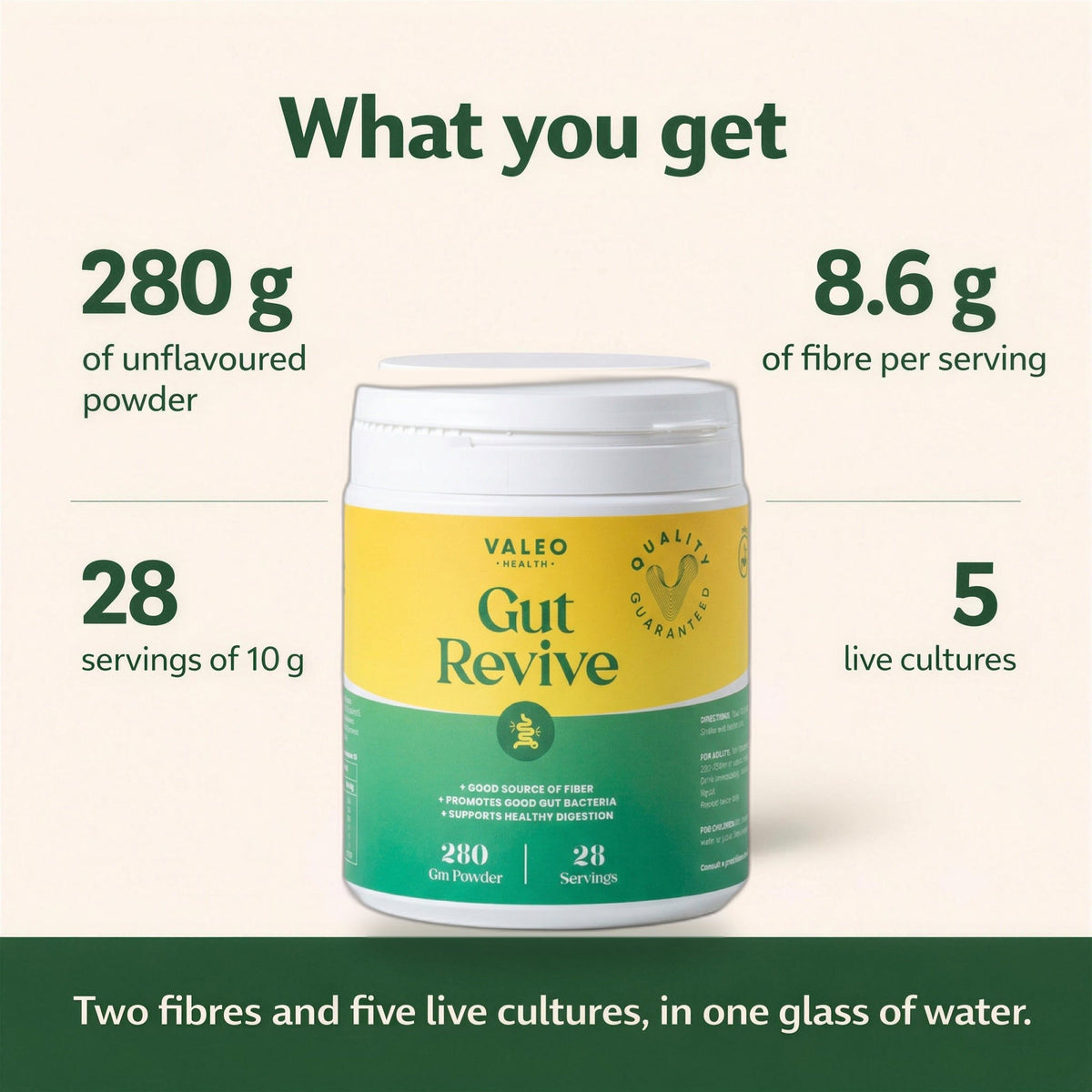 Valeo Gut Revive Powder - Psyllium Husk, Prebiotics & Probiotics - 280g