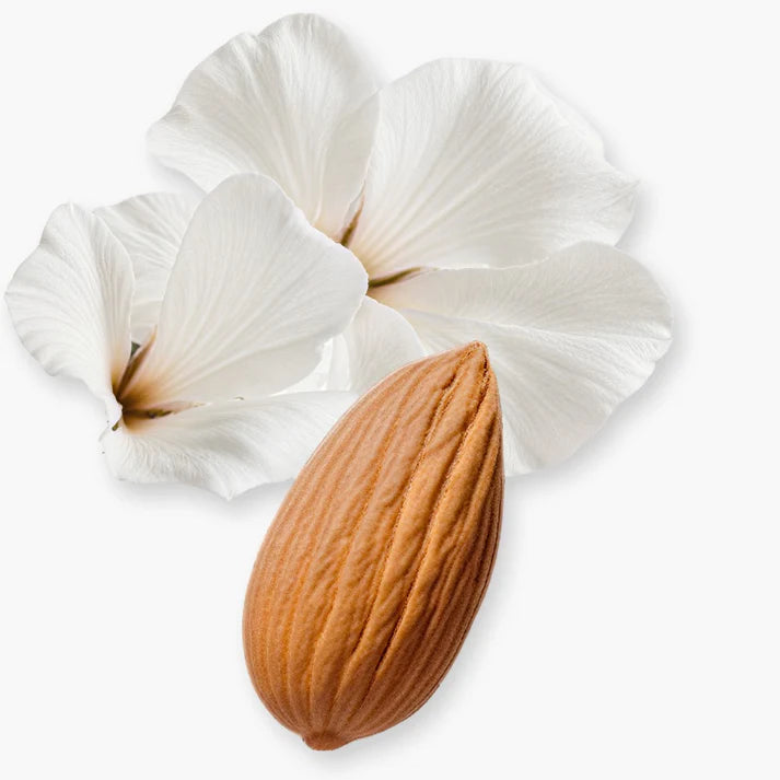 عطر «فالايا إكسكلوسيف» 75 مل