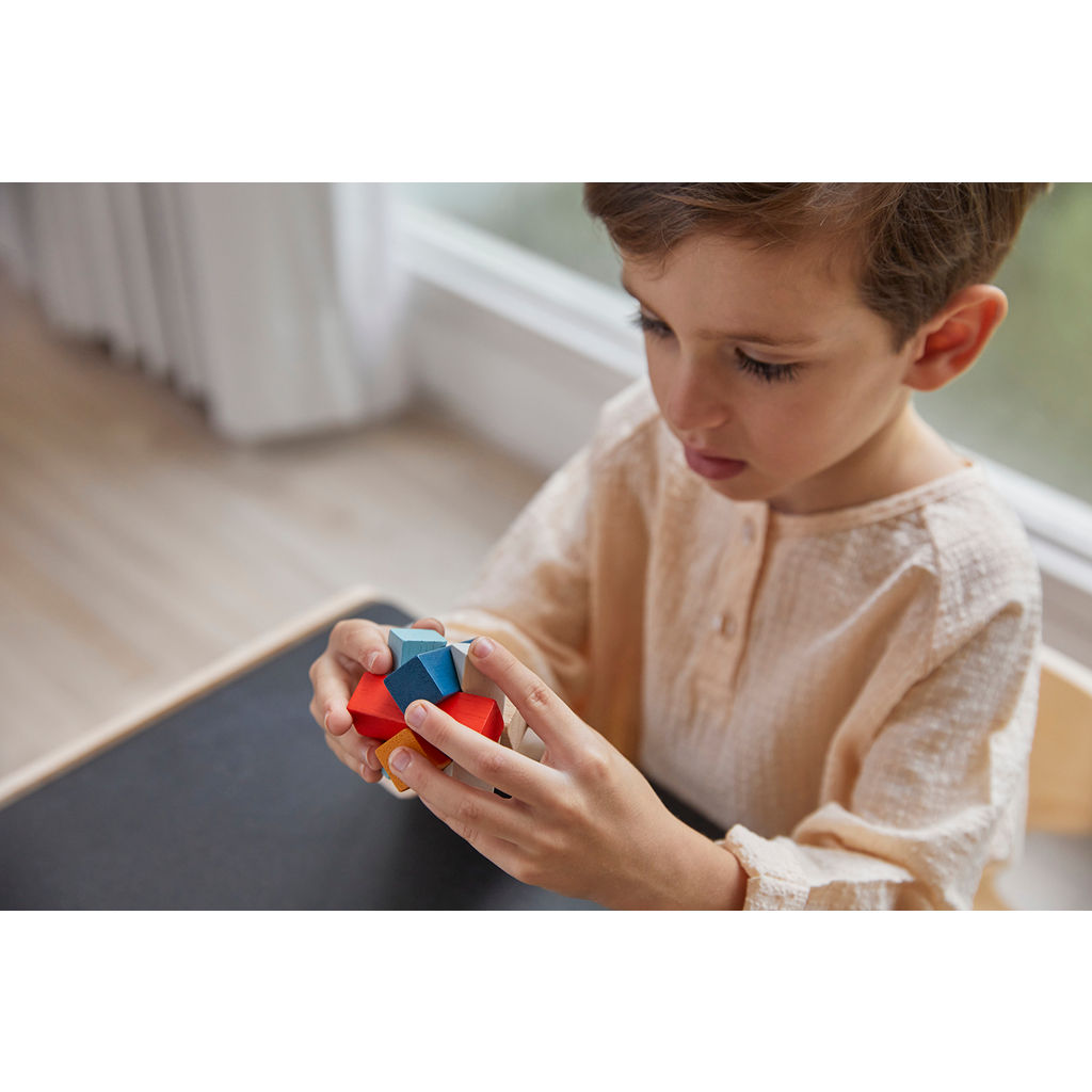 PlanToys PlanMini Rectangular Puzzle